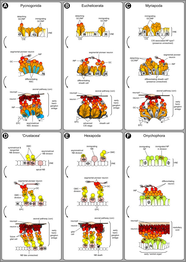 Figure 15