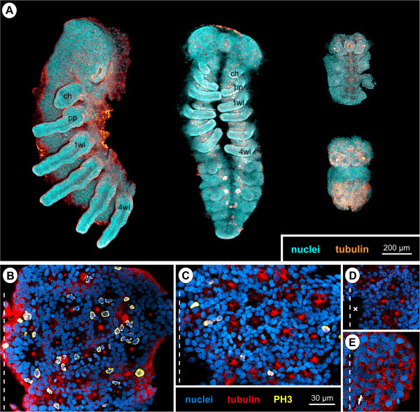 Figure 16