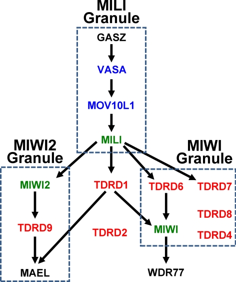 Fig. 2.