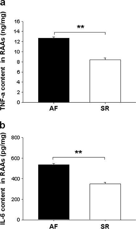 Fig. 6