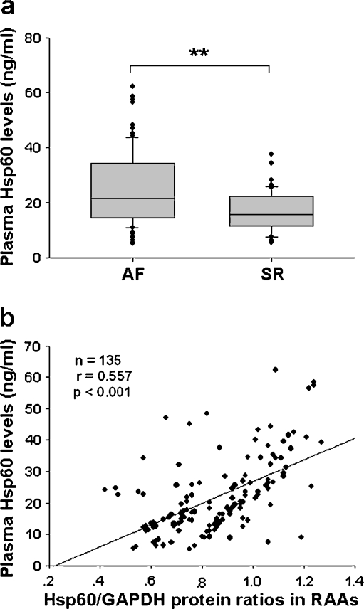 Fig. 7