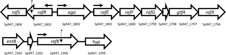 FIG 2