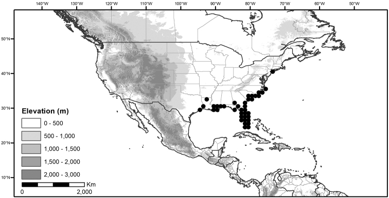 Figure 41.