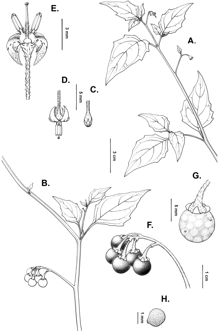 Figure 21.