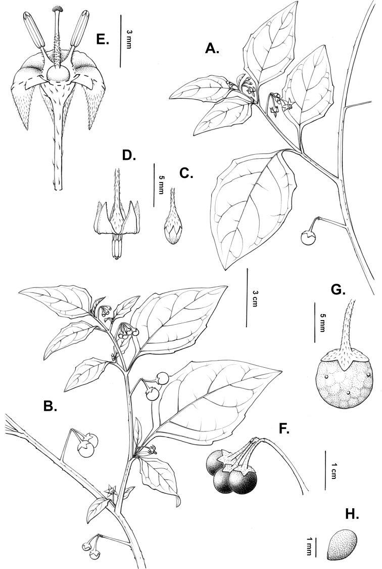 Figure 15.