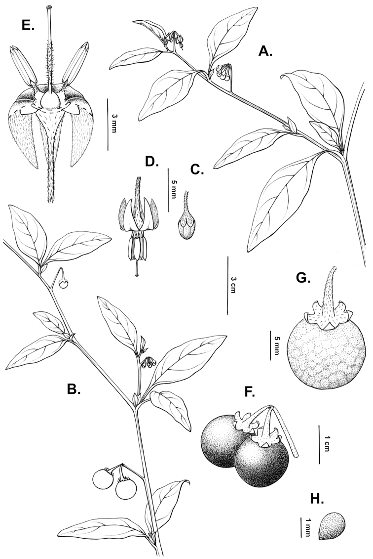 Figure 39.