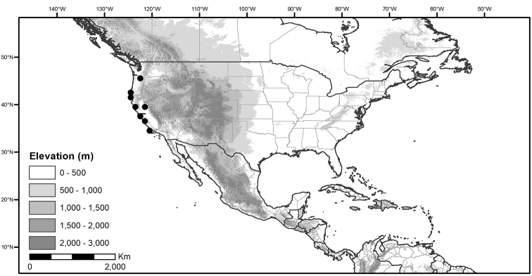 Figure 20.