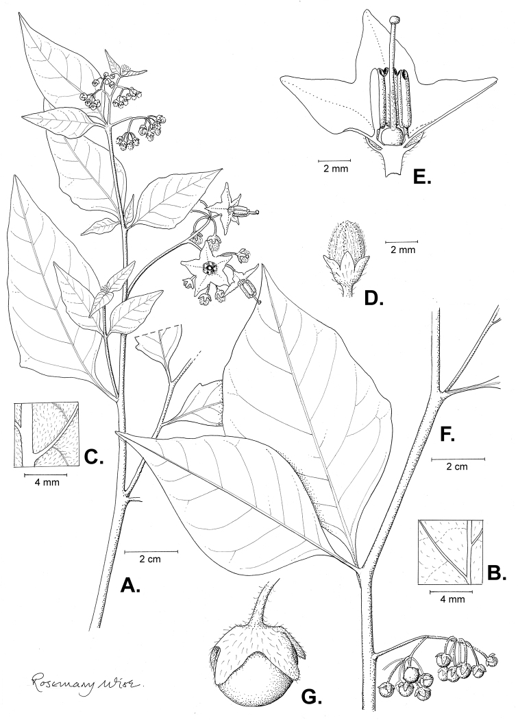 Figure 18.