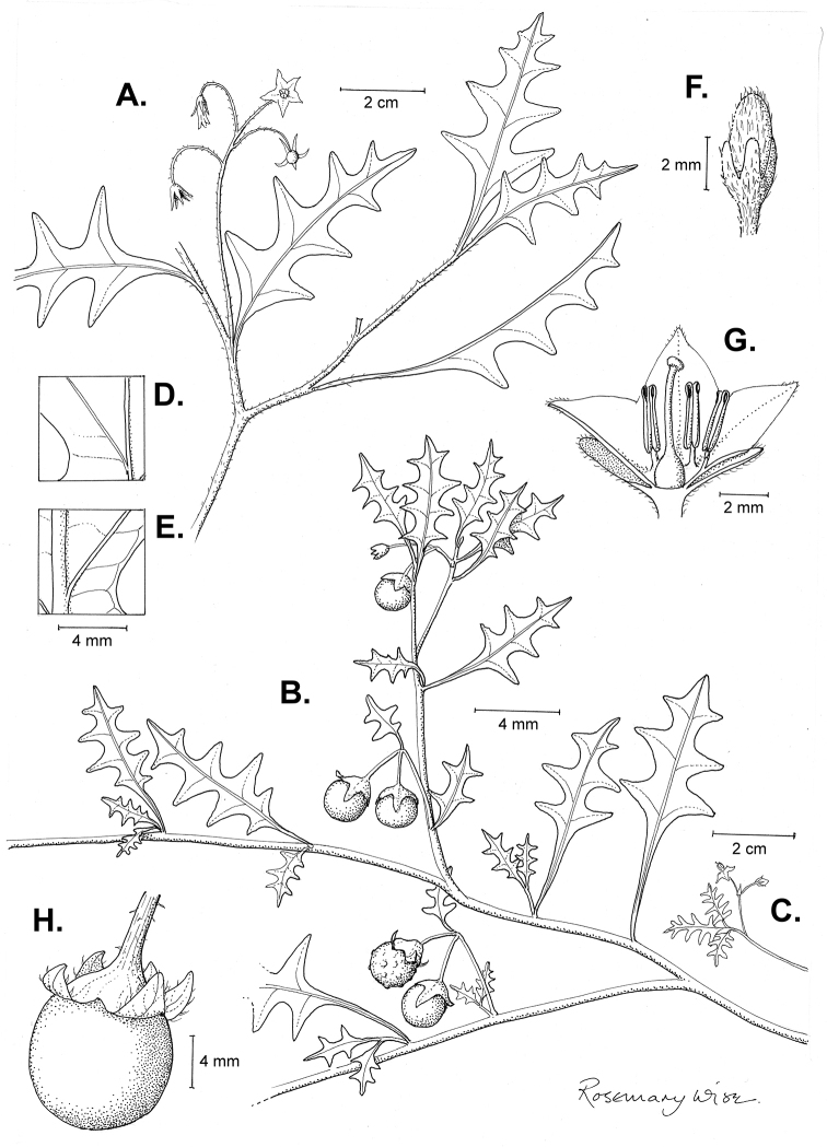 Figure 51.