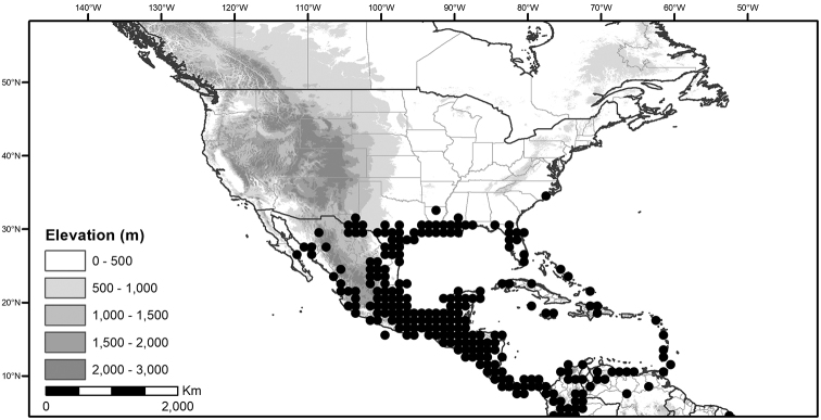 Figure 29.