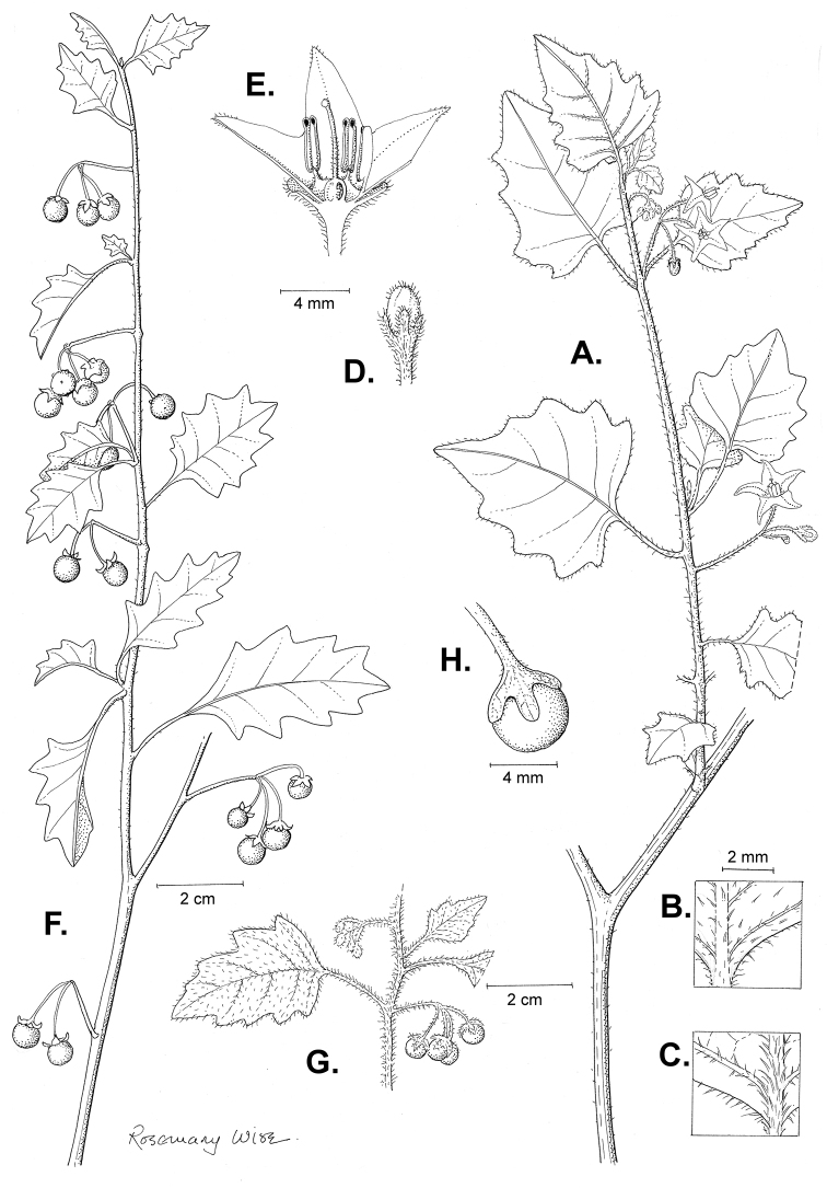 Figure 54.