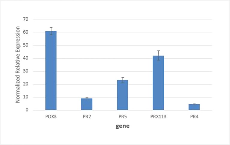 Figure 5