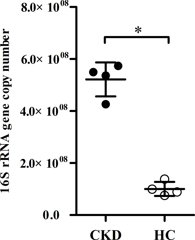 Fig 5