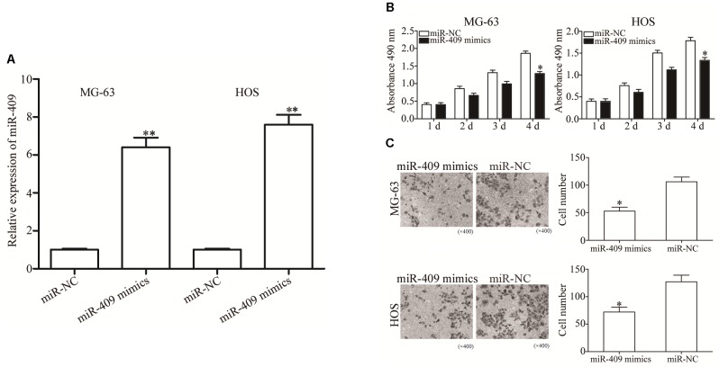 FIGURE 2