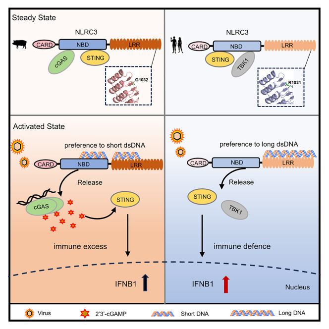 graphic file with name fx1.jpg