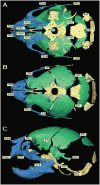 Fig. 3