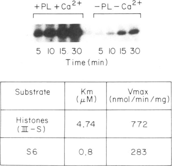 graphic file with name pnas00648-0134-a.jpg