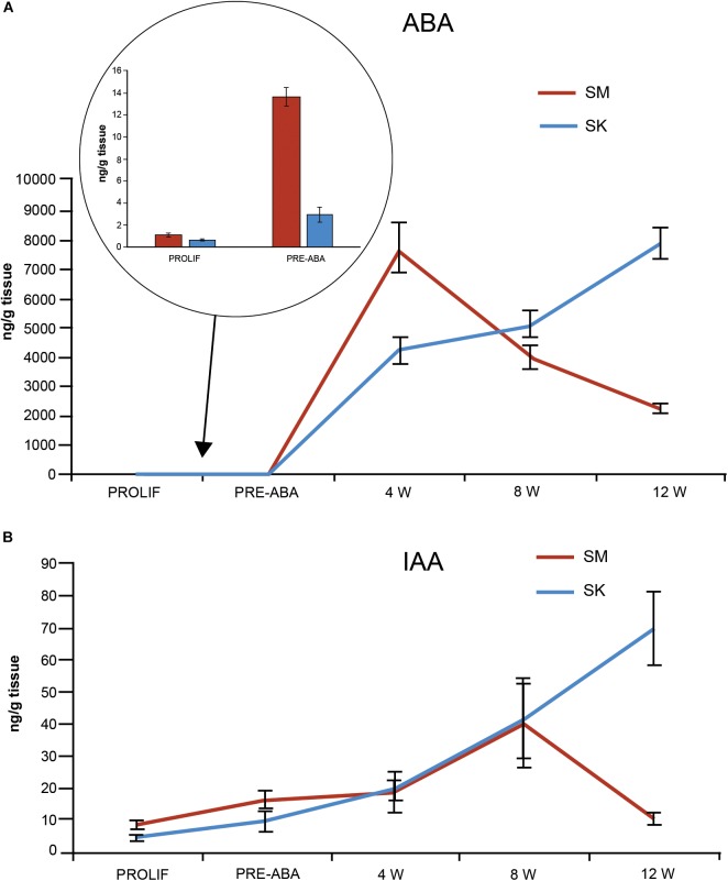 FIGURE 5