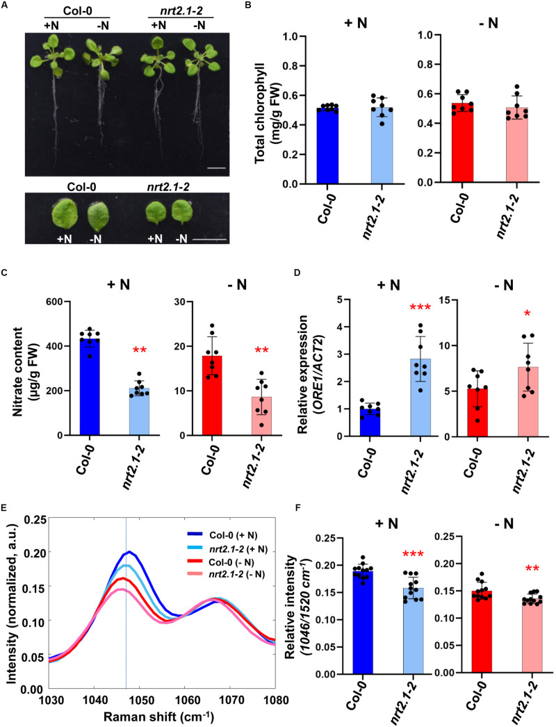 FIGURE 3