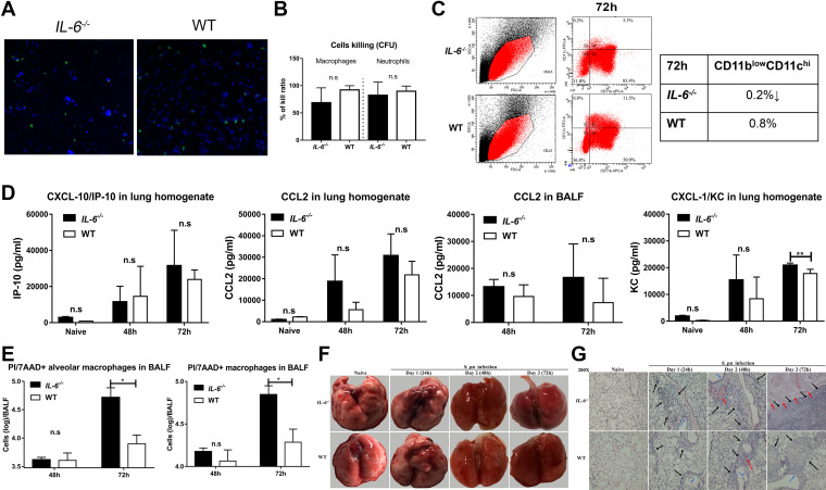 FIG 3