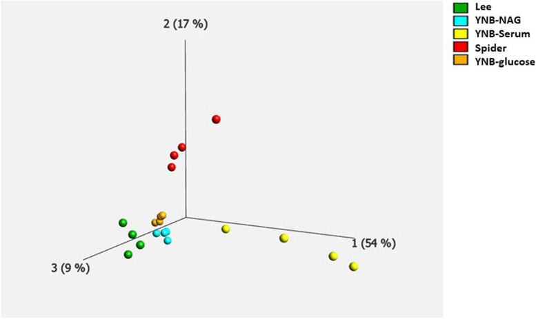 Fig. 2