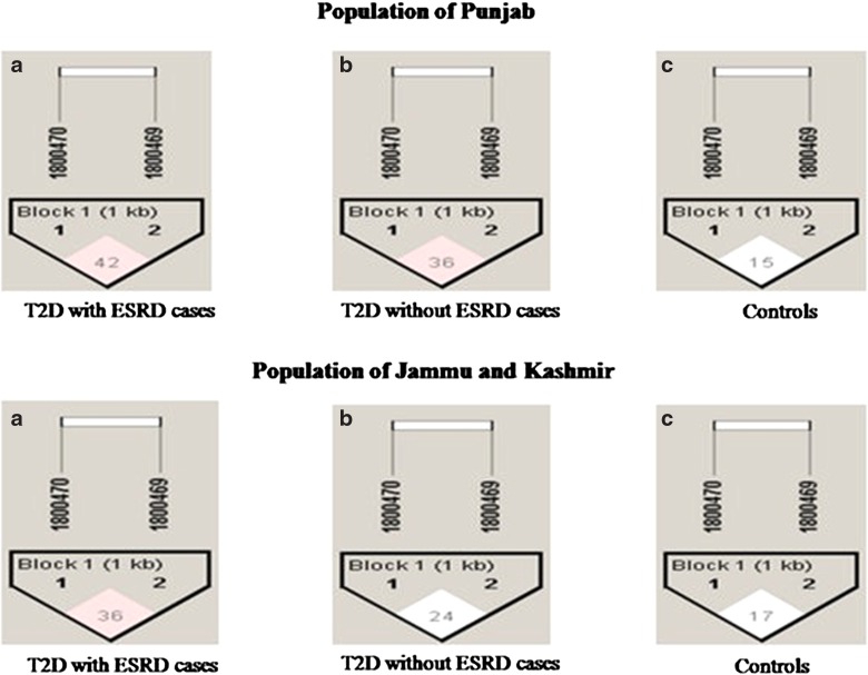 FIG. 3.