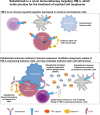 Graphical Abstract