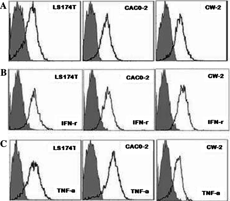 Fig. 4