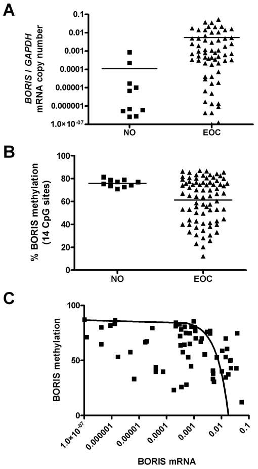 Figure 6