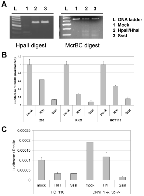 Figure 4