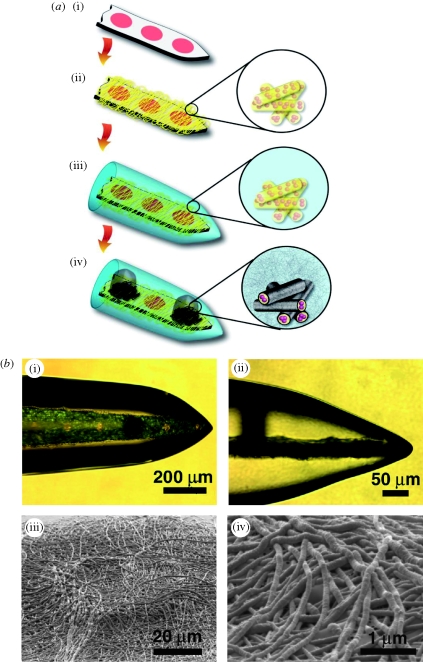 Figure 13.