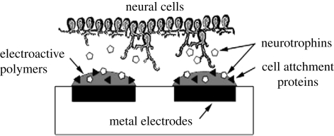 Figure 7.