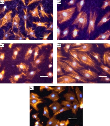 Figure 14.