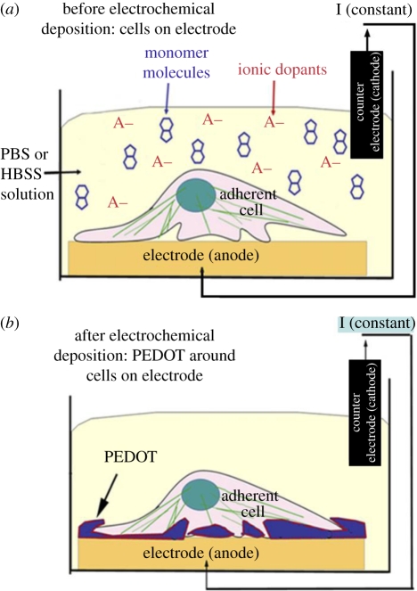 Figure 12.