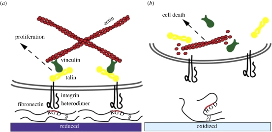 Figure 17.