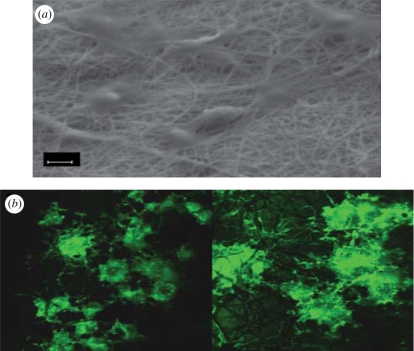 Figure 18.