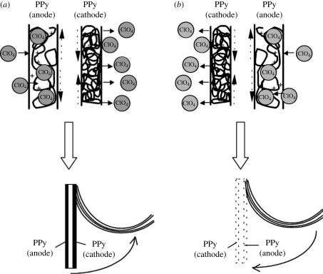 Figure 4.