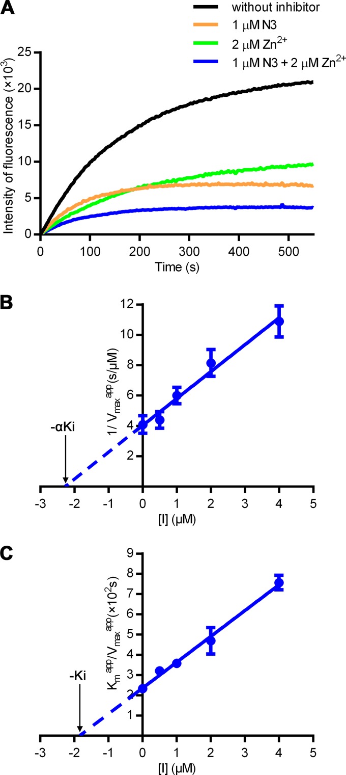 FIG 1