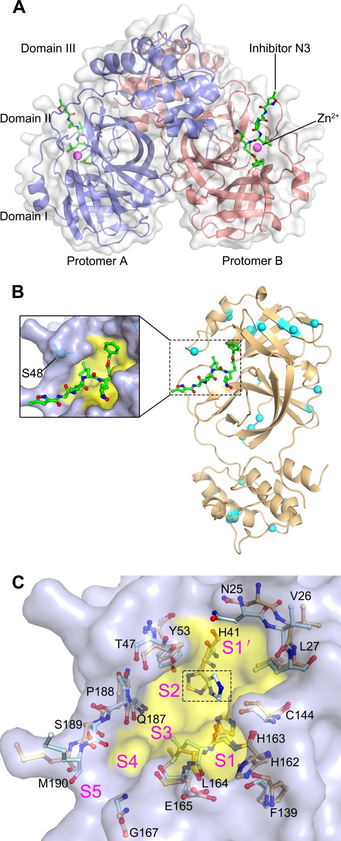 FIG 2