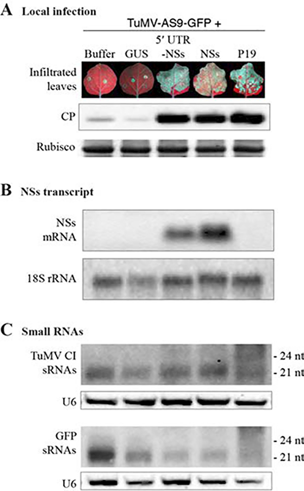 Figure 6.