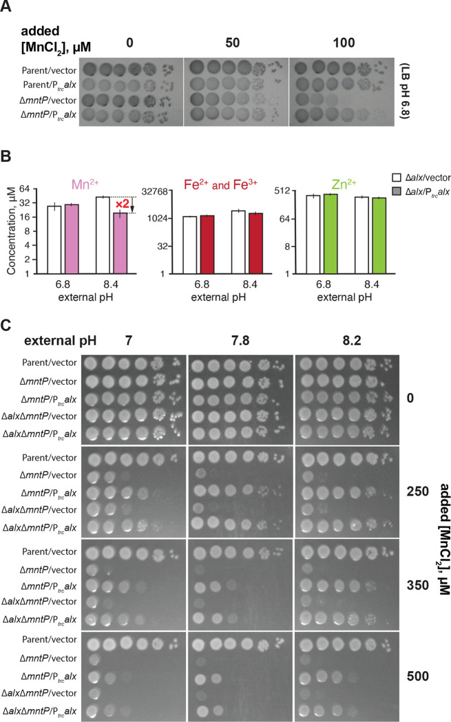 Figure 4.