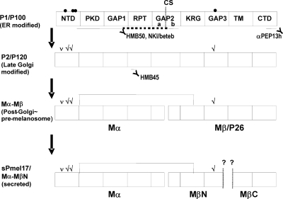 Figure 9.