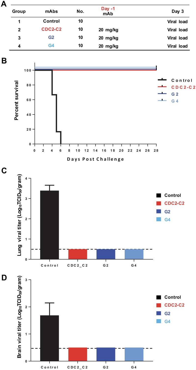 FIG 6