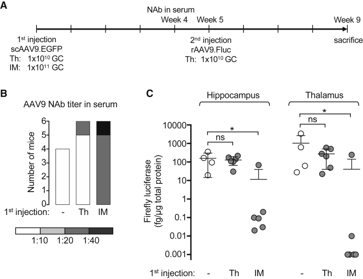 Figure 3