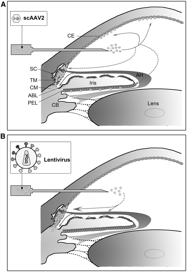 Figure 6