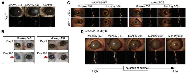 Figure 3