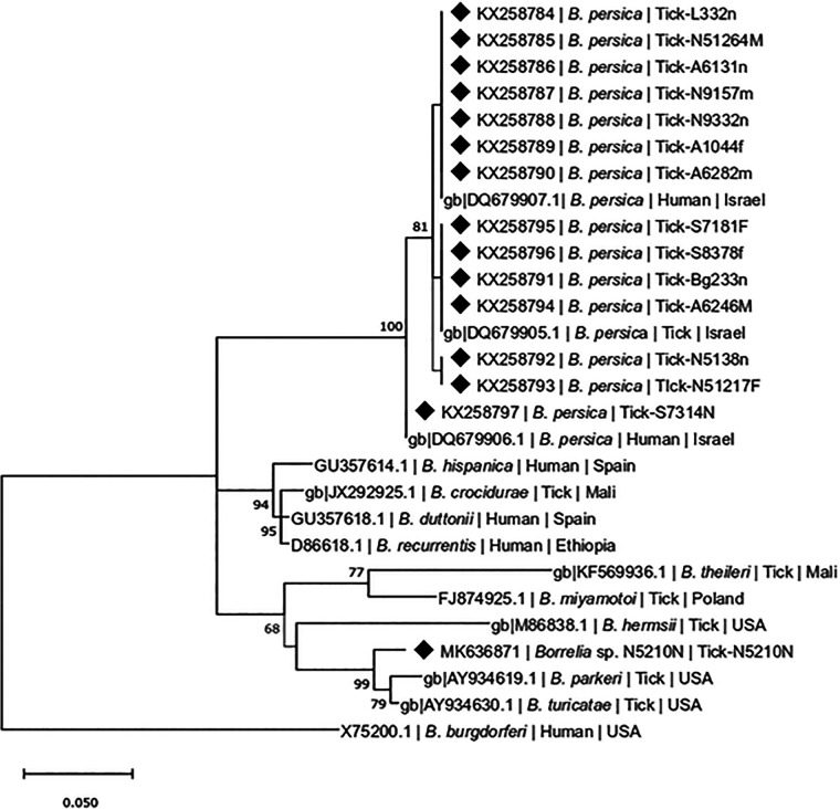 FIG 2