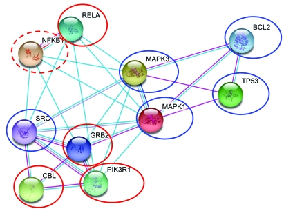 Fig. (1)