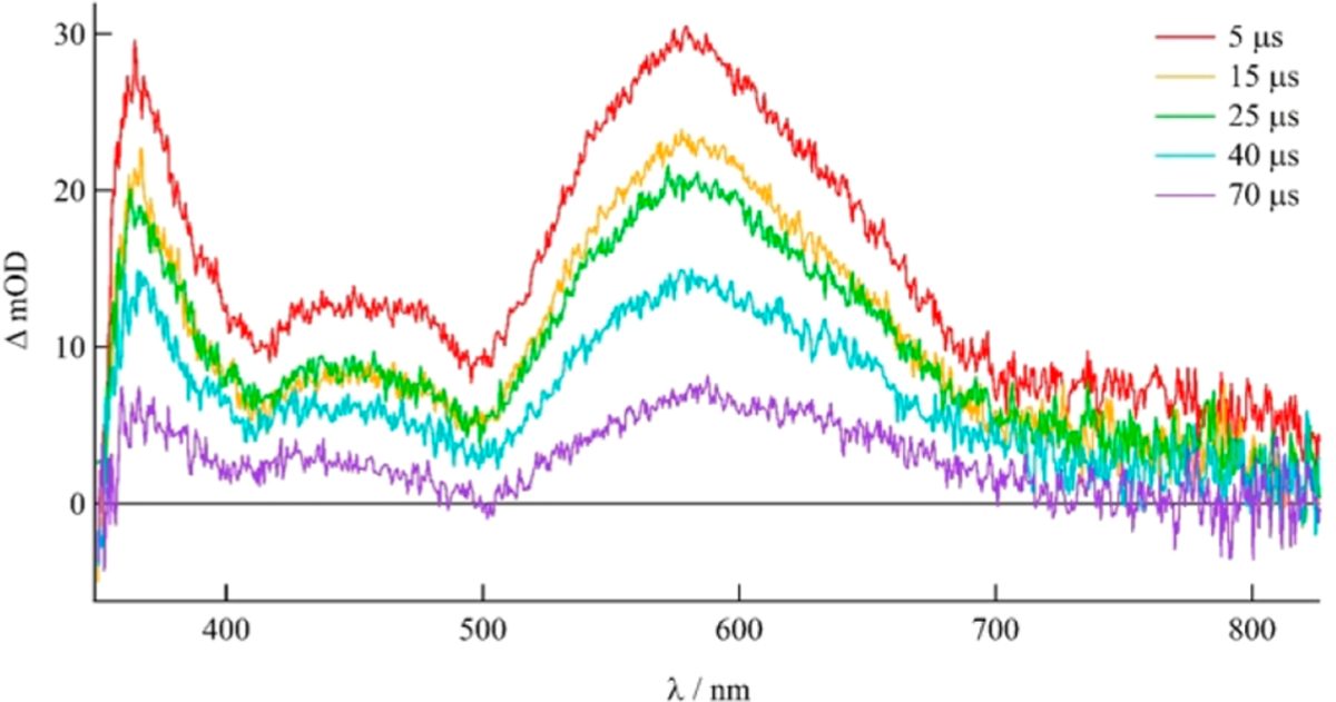 Figure 5.