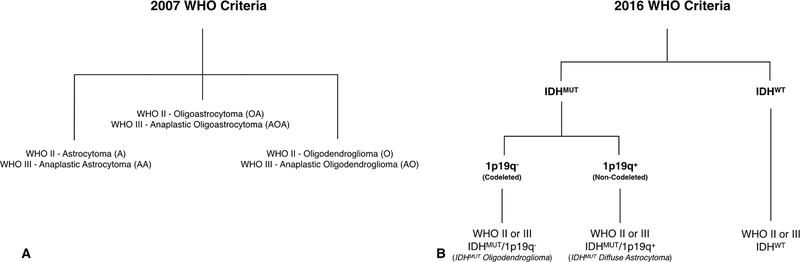 Fig 1.